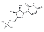 Uridine 5′-monophosphate