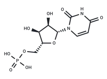 Uridine 5'-monophosphate