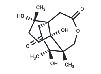 1α-Hydroxy-3-deoxypseudoanisatin
