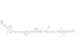 (Des-Bromo)-Neuropeptide B (1-23) (human)