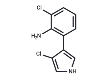 WB 2838