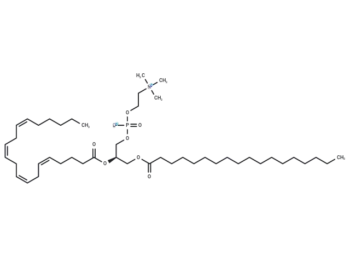 1-Stearoyl-2-arachidonoyl-sn-glycero-3-phosphocholine
