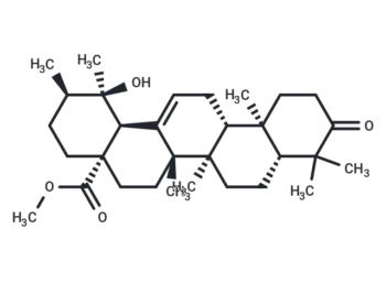 3-Oxopomolic acid methyl ester