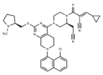 KRAS G12C inhibitor 48