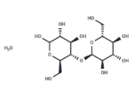 Maltose monohydrate