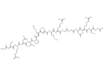 VPM peptide