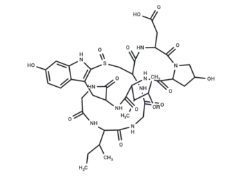 ε-Amanitin