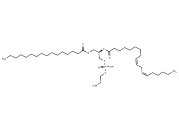1-Palmitoyl-2-linoleoyl PE