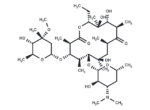 Erythromycin