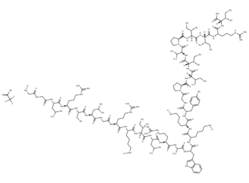 BMAP 28 (bovine) TFA