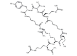 hMCH-1R antagonist 1