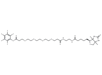 Biotin-amido-PEG4-PFP ester
