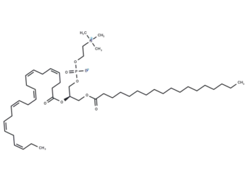 1-Stearoyl-2-docosahexaenoyl-sn-glycero-3-PC