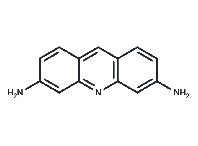 Proflavine CgoaEGY7LvaERqz AAAAAFvf1L8124- Immunomart