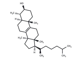 31-Norlanostenol