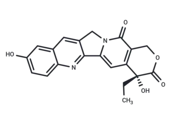 9-Hydroxycamptothecin