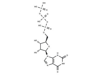 Xanthosine-5'-Triphosphate