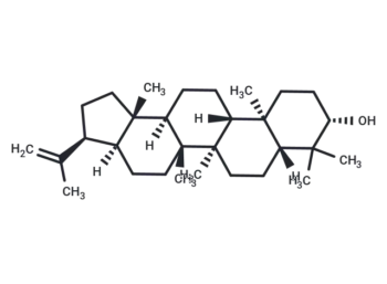 3β-Hydroxy-hop-22(29)-ene