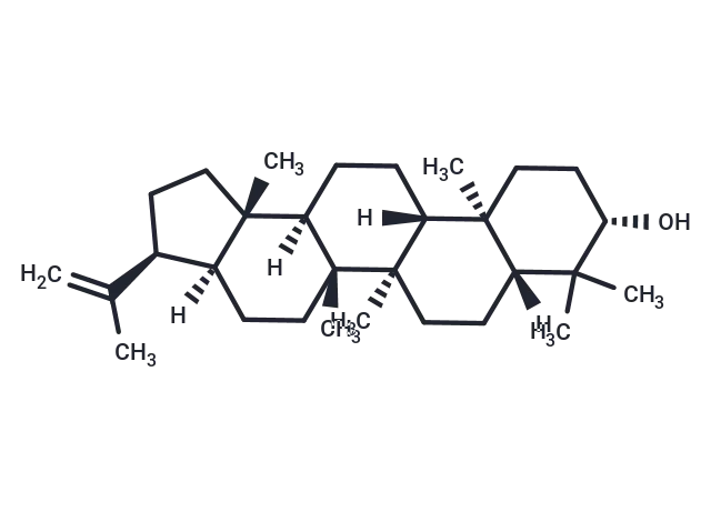 3β-Hydroxy-hop-22(29)-ene