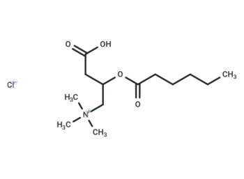 (±)-Hexanoylcarnitine chloride