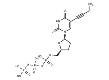 5-Propargylamino-ddUTP