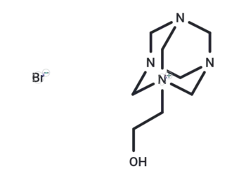 Y 11