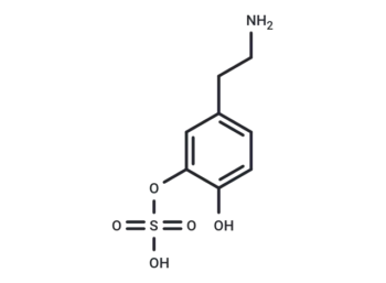 Dopamine 3-O-sulfate