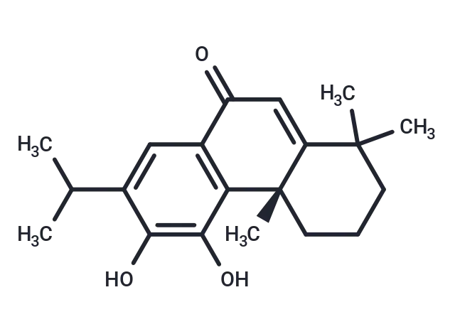 Salvinolone