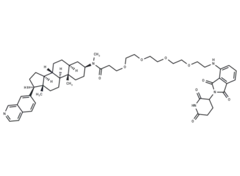 JH-XI-10-02