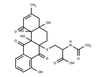 WS 009A