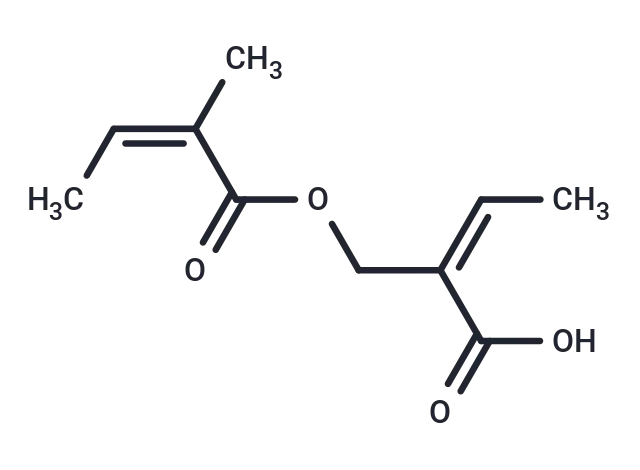 (Z)-2-Angeloyloxymethyl-2-butenoic CgoaEGY7MLyEOk AAAAALvEF9g013- Immunomart