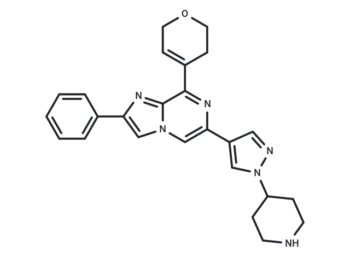 YL-939