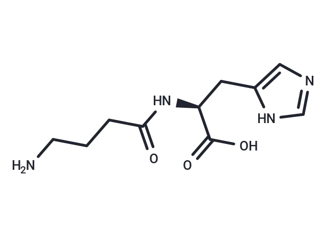 Homocarnosine