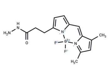 BODIPY FL hydrazide