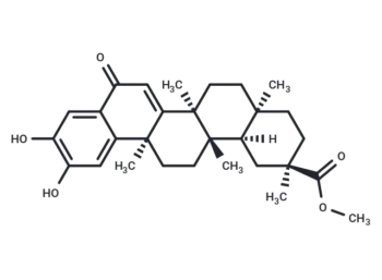 23-Nor-6-oxopristimerol