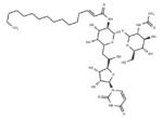 Tunicamycin VIII