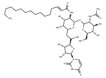 Tunicamycin VIII