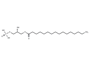 1-Palmitoyl-sn-glycerol 3-phosphate