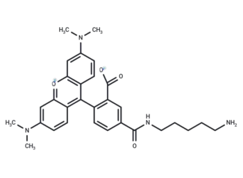 5-TAMRA Cadaverine