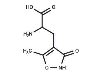 (RS)-AMPA