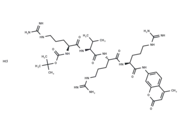 Boc-Arg-Val-Arg-Arg-AMC hydrochloride