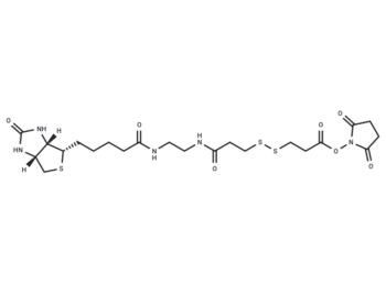 Biotin-bis-amido-SS-NHS