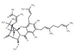 10-Methoxygambogenic acid 1 10-Methoxygambogenic acid