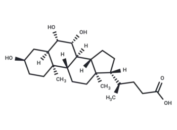 β-Muricholic Acid