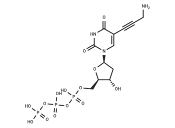 5-PA-dUTP