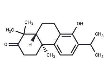 Triptonoterpene