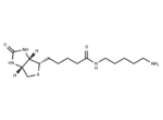 5-(Biotinamido)pentylamine