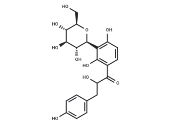 Coatline A