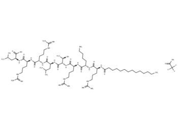 EGFR Peptide (human, mouse) (myristoylated) TFA