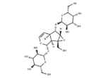 Rehmannioside B